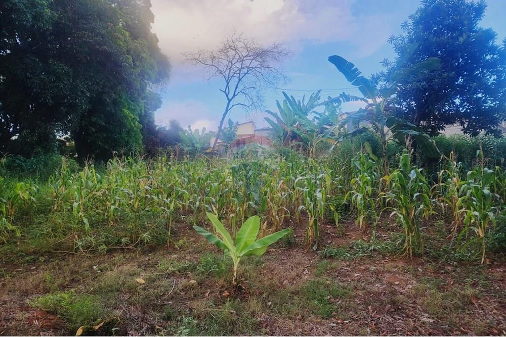 Terreno - Venda - Matozinhos , Minas Gerais - lote mtz01 (10).jpeg - 870241024-58