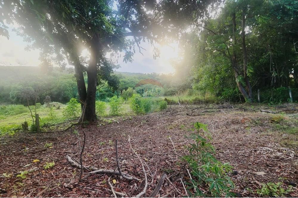 Terreno - Venda - Matozinhos , Minas Gerais - lote mtz01 (14).jpeg - 870241024-58