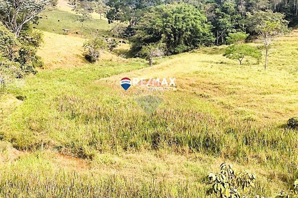 Chácara / Sítio / Fazenda - Venda - Ipanema , Minas Gerais - 7_IMG_20240515_093347_watermark_dom._23062024_100624.jpg - 870451001-122