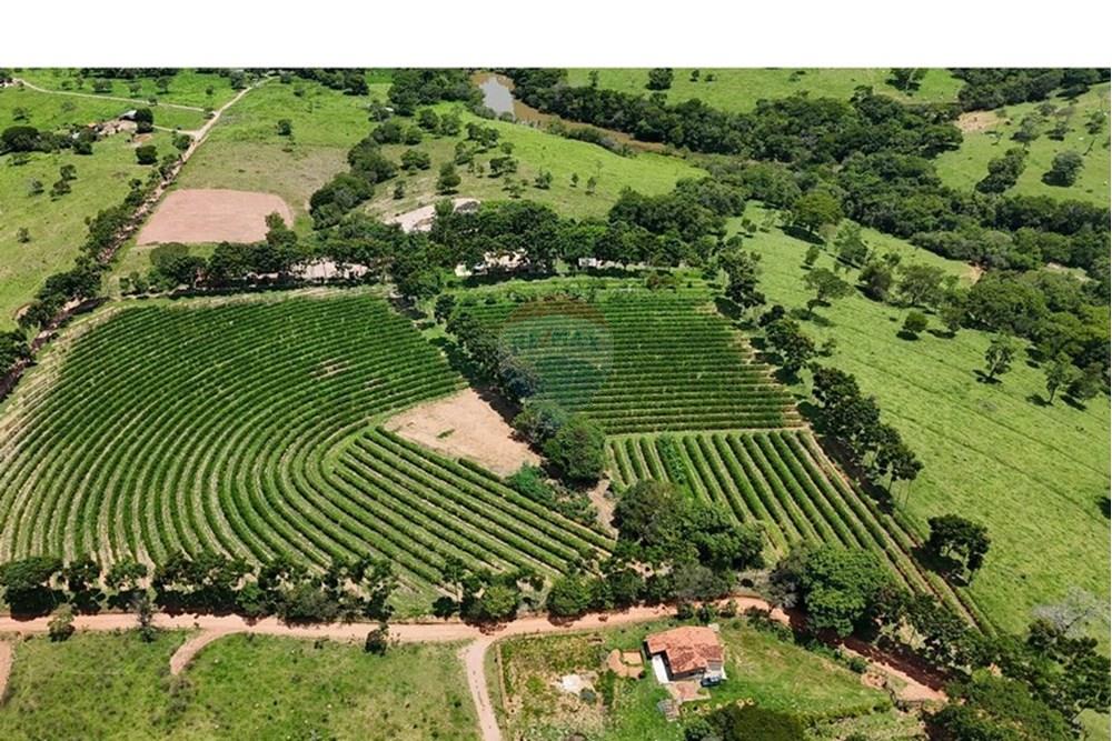 Chácara / Sítio / Fazenda - Venda - Araxá , Minas Gerais - FAZENDA 1.jpeg - 870431058-4