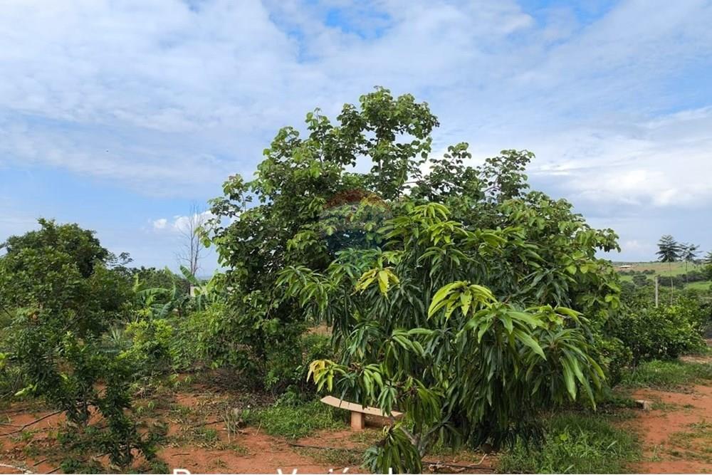 Casa de Campo - Venda - Paraopeba , Minas Gerais - 60956032-4b5d-4531-9c8a-4b6686f3b88d.jpg - 870241024-46