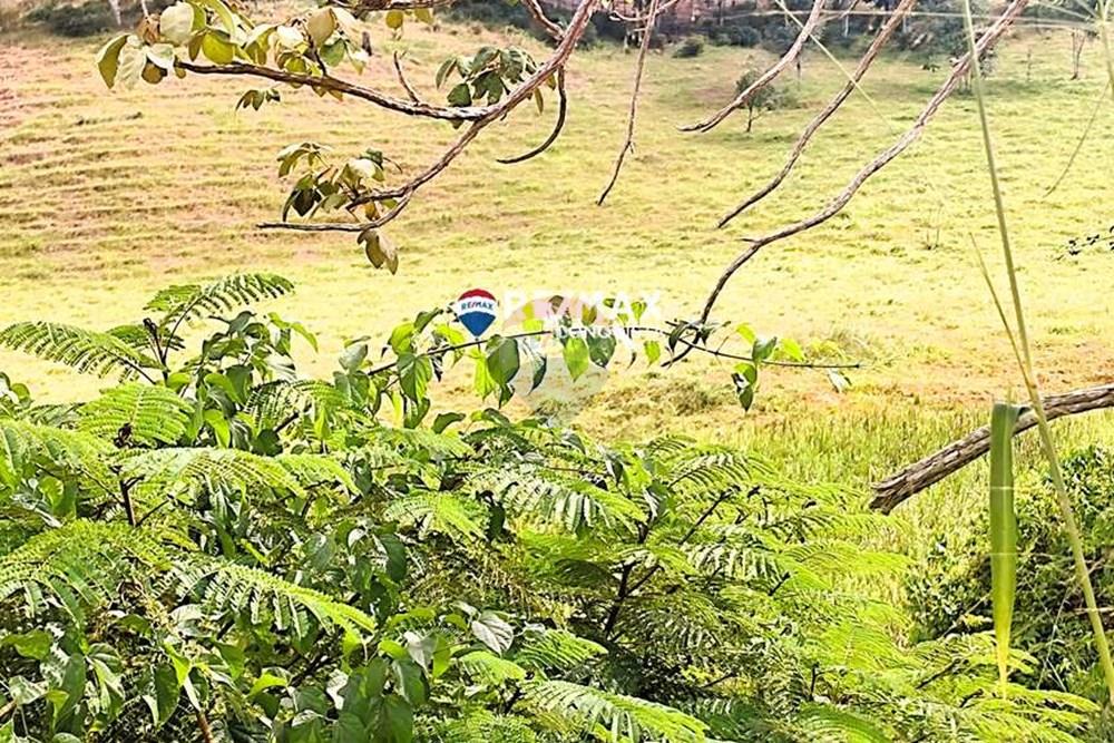 Chácara / Sítio / Fazenda - Venda - Ipanema , Minas Gerais - 9_IMG_20240515_093311_watermark_dom._23062024_100626.jpg - 870451001-122