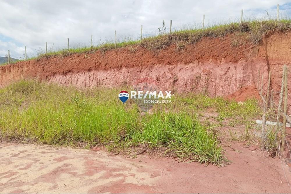 Terreno - Venda - Ipanema , Minas Gerais - WhatsApp Image 2025-05-12 at 16.17.57(3).jpeg - 870451001-130