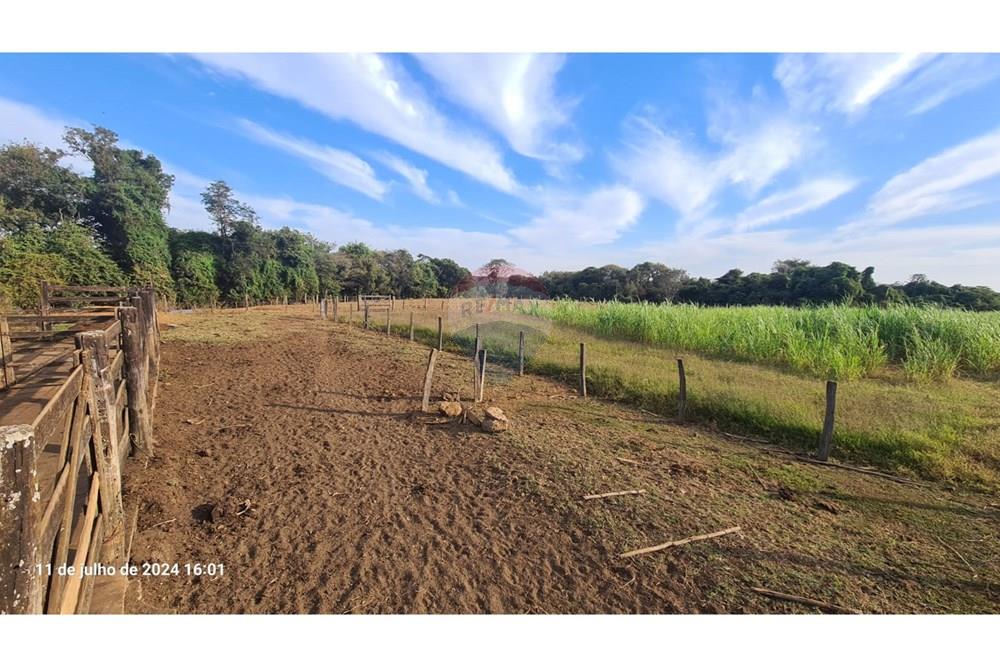 Fazenda - Venda - Uberaba , Minas Gerais - (44).jpeg - 870291025-116