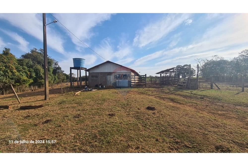 Chácara / Sítio / Fazenda - Venda - Uberaba , Minas Gerais -  (18).jpeg - 870291025-115