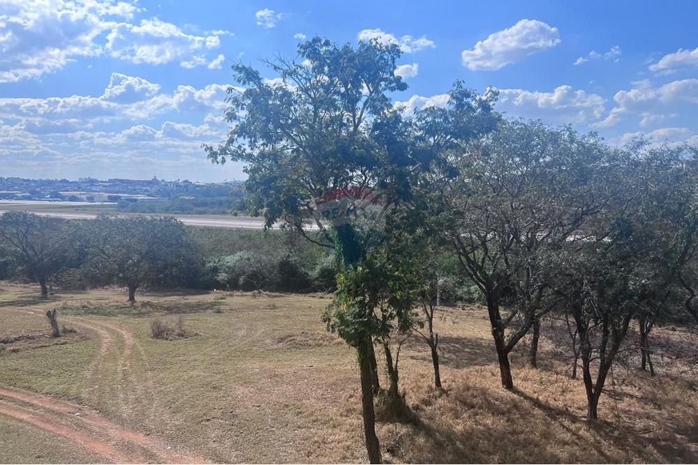 Cobertura - Alugar - Belo Horizonte , Minas Gerais - WhatsApp Image 2025-08-07 at 15.07.00.jpeg - 870761004-5