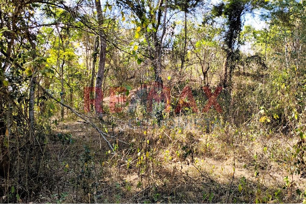 Chácara / Sítio / Fazenda - Venda - Ipanema , Minas Gerais - 4_image_4_watermark_seg._15092025_150712.jpg - 870451013-72