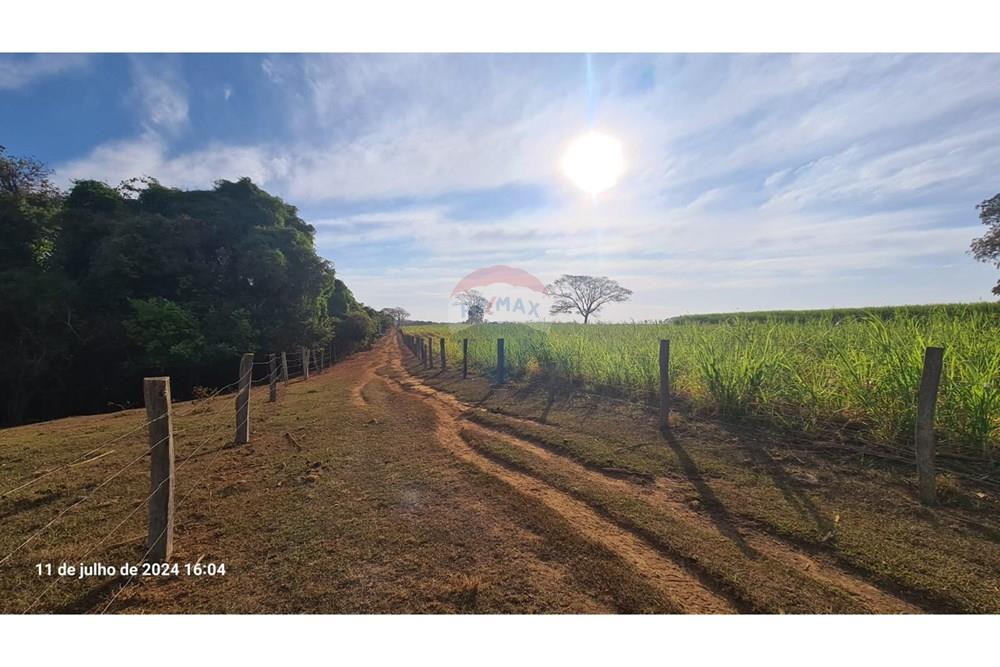 Chácara / Sítio / Fazenda - Venda - Uberaba , Minas Gerais -  (41).jpeg - 870291025-115