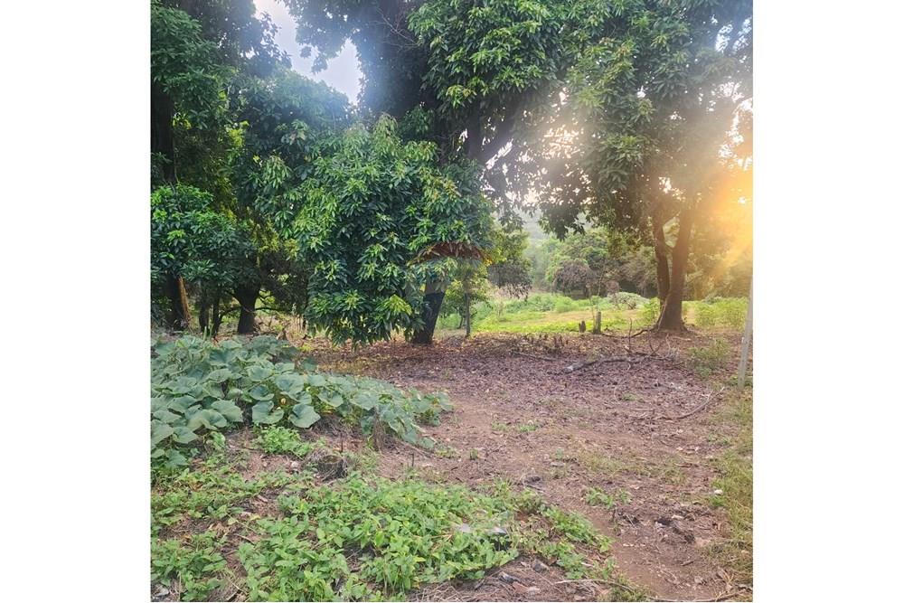 Terreno - Venda - Matozinhos , Minas Gerais - 2b75a8a8-f2de-40c7-84da-5fd536031997.jpeg - 870241024-58