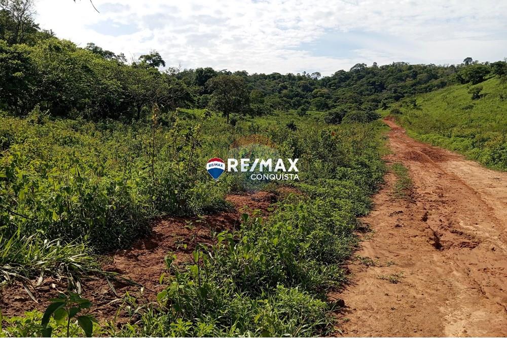 Chácara / Sítio / Fazenda - Venda - Pocrane , Minas Gerais - 2_IMG_20241203_082046_watermark_sex._13122024_134940.jpg - 870451001-114