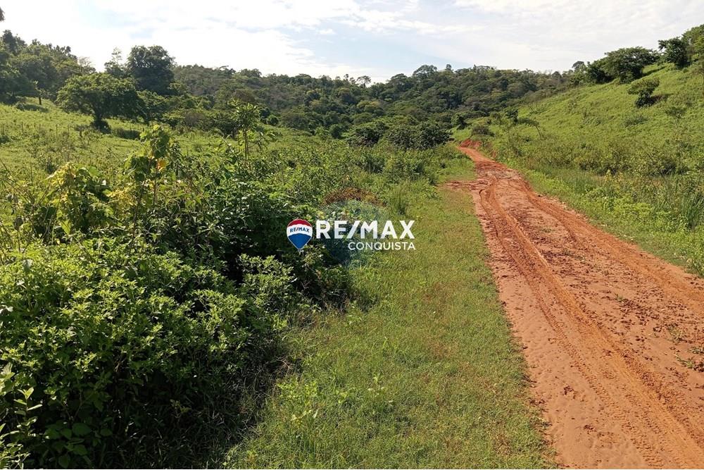 Chácara / Sítio / Fazenda - Venda - Pocrane , Minas Gerais - 3_IMG_20241203_082703_watermark_sex._13122024_135536.jpg - 870451001-114