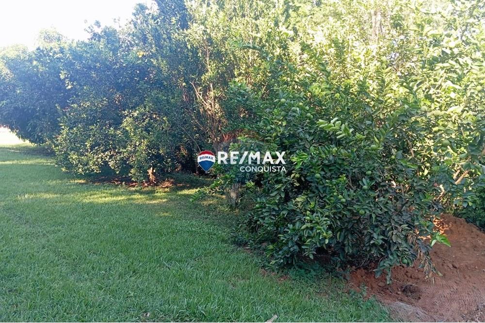 Chácara / Sítio / Fazenda - Venda - Ipanema , Minas Gerais - WhatsApp Image 2025-04-12 at 14.30.55(3).jpeg - 870451013-60