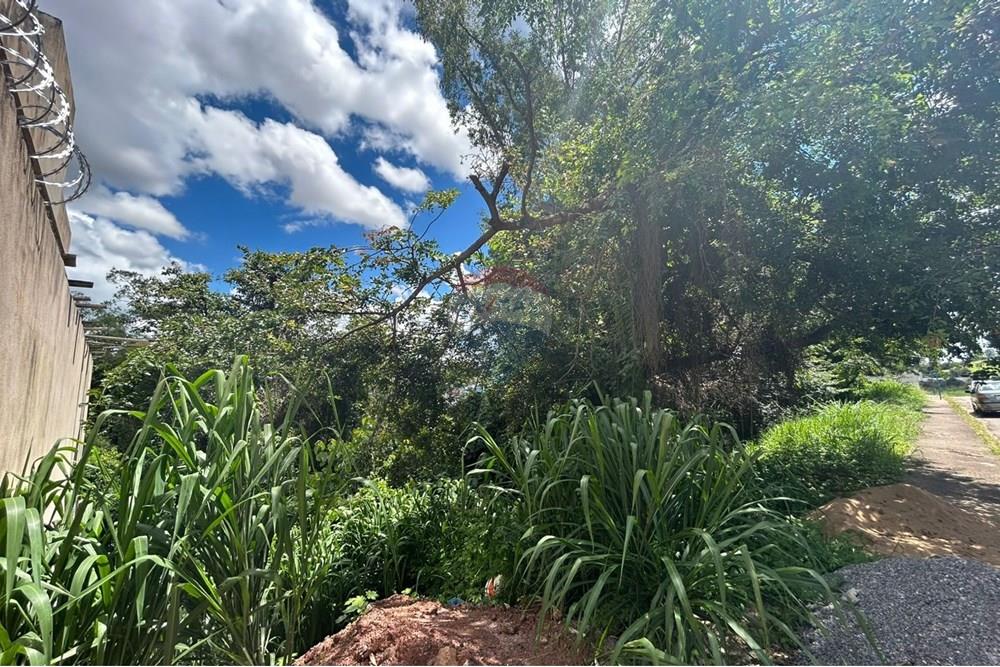 Terreno - Venda - Varginha , Minas Gerais - WhatsApp Image 2025-01-06 at 08.56.56.jpeg - 870641024-11