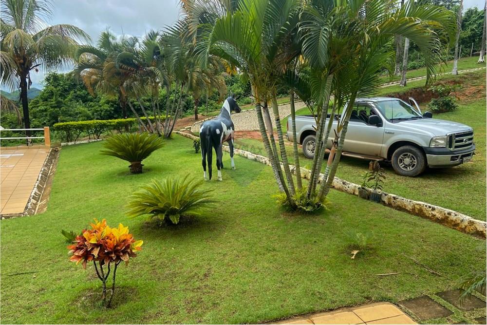 Chácara / Sítio / Fazenda - Venda - Santana do Paraíso , Minas Gerais - IMG-20250327-WA0030.jpg - 870711007-42