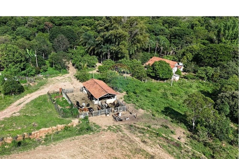 Chácara / Sítio / Fazenda - Venda - Araxá , Minas Gerais - MONICA 1.jpeg - 870431058-3