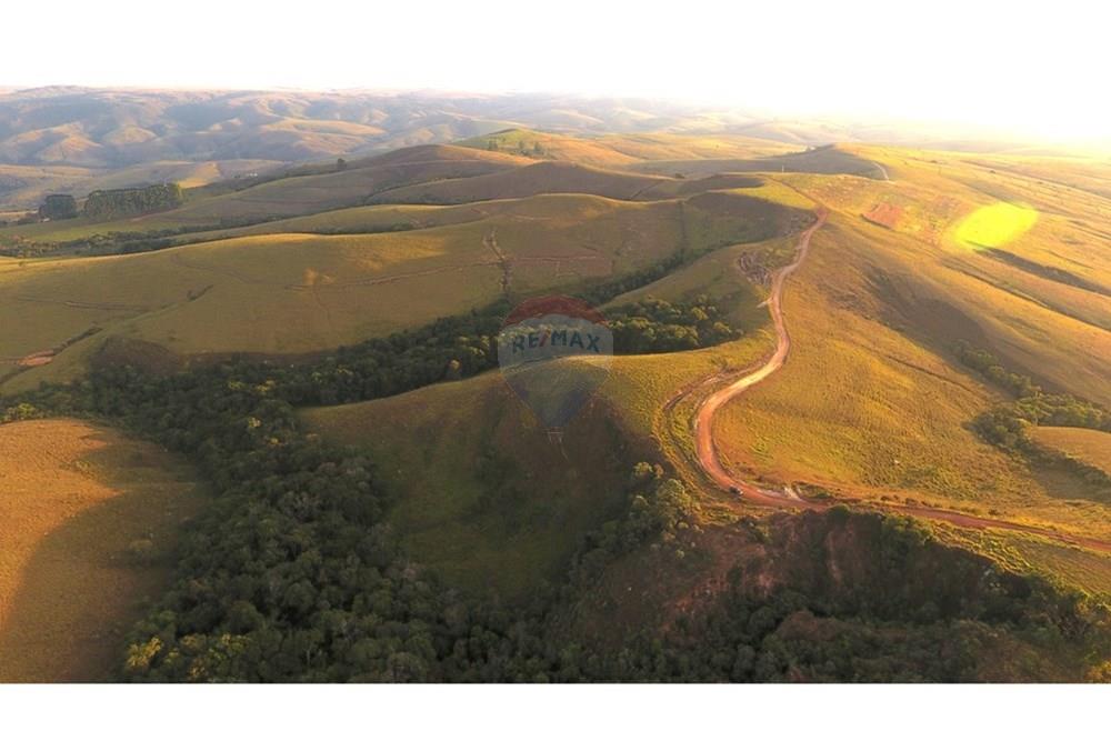 Fazenda - Venda - São Roque de Minas , Minas Gerais - DJI_0034.JPG - 870431039-50