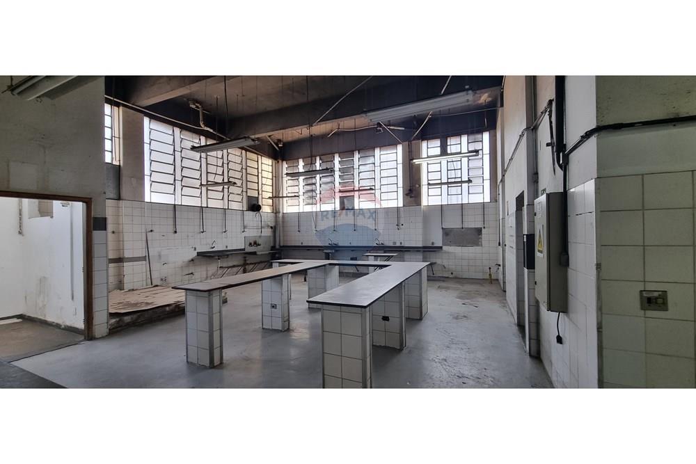 Ponto Comercial/ Loja - Alugar - Belo Horizonte , Minas Gerais - 20240911_094557.jpg - 870251062-79