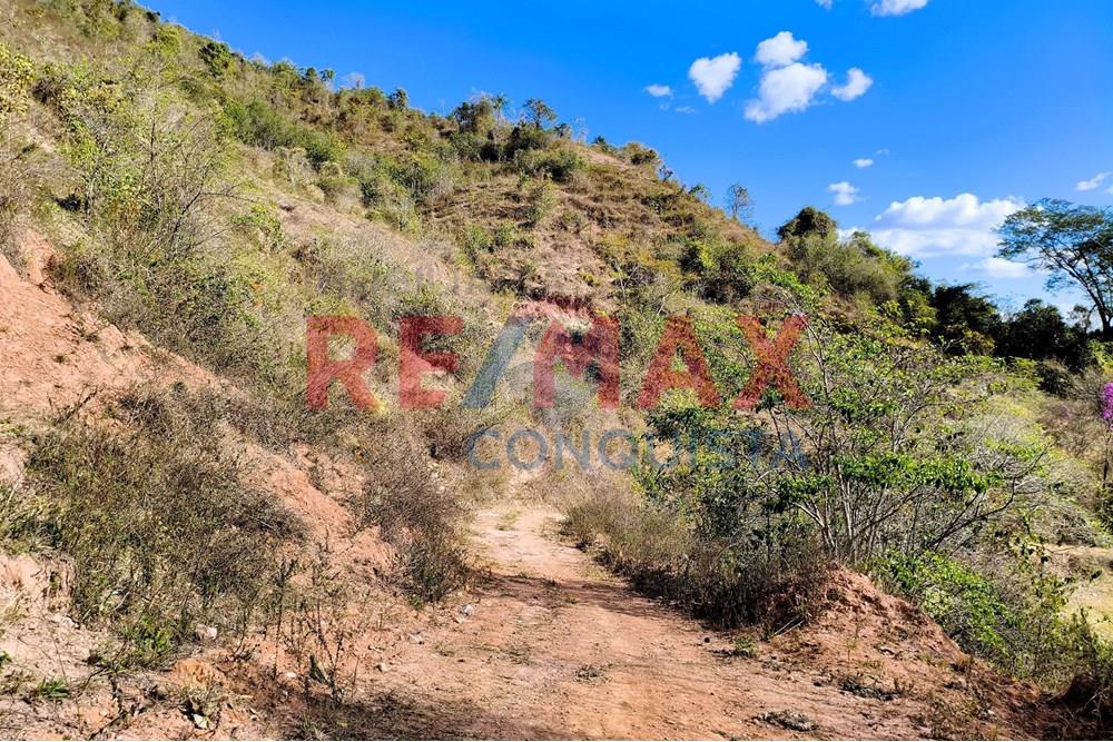 Chácara / Sítio / Fazenda - Venda - Ipanema , Minas Gerais - 8_image_8_watermark_seg._15092025_150522.jpg - 870451013-72