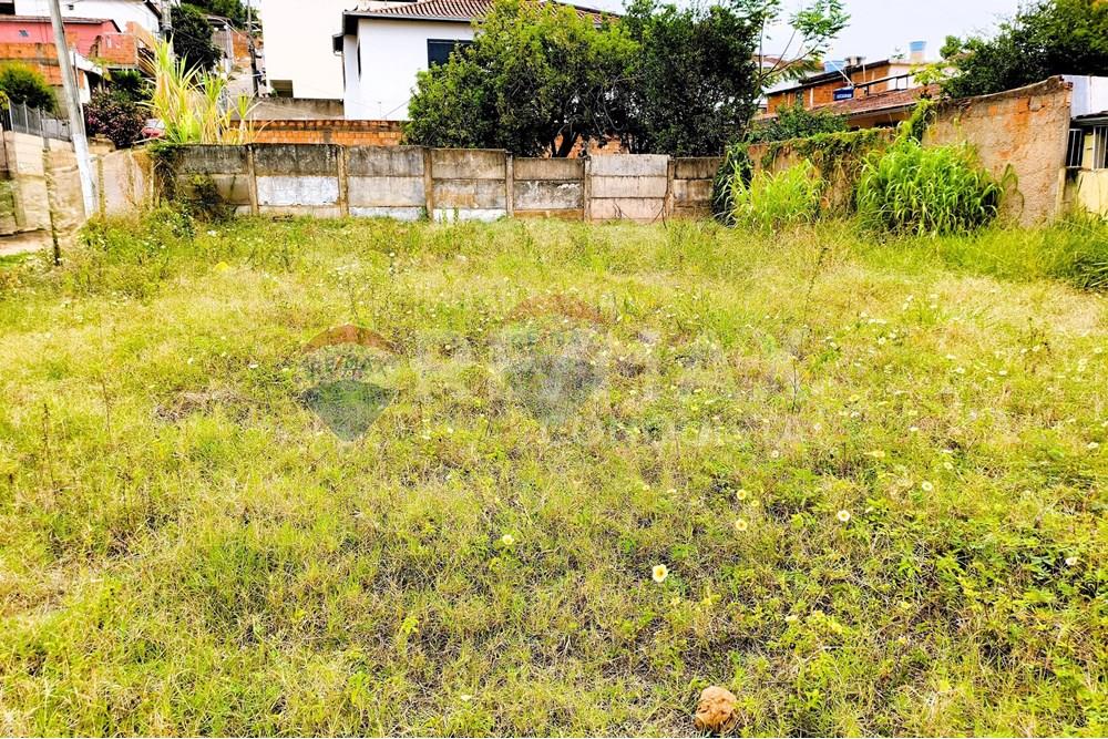 Terreno - Venda - Ipanema , Minas Gerais - 3_image_3_watermark_qui._23102025_102907.jpg - 870451001-153