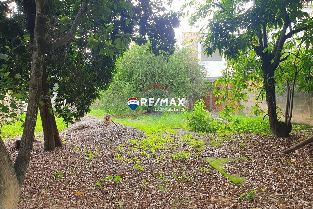 Terreno - Venda - Ipanema , Minas Gerais - 2_20241108_150239_watermark_sáb._09112024_094545.jpg - 870451001-107