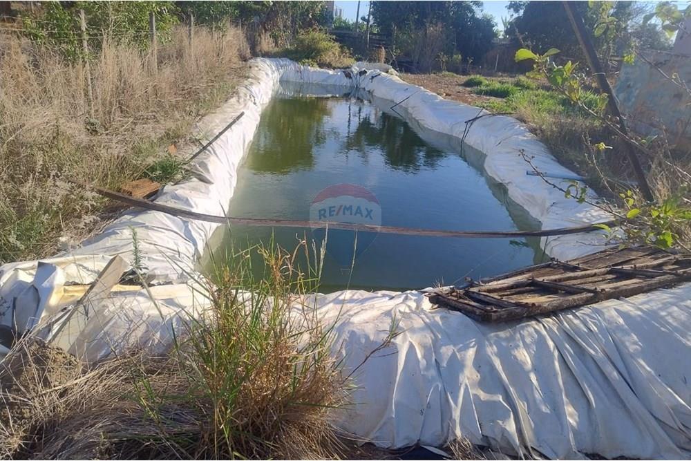 Chácara / Sítio / Fazenda - Venda - Uberaba , Minas Gerais - N2.jpeg - 870291037-15