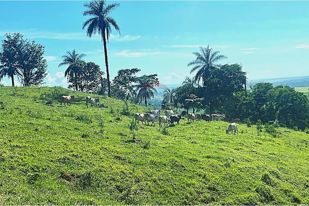 Chácara / Sítio / Fazenda - Venda - Araxá , Minas Gerais - 04.2.jpg - 870431045-37