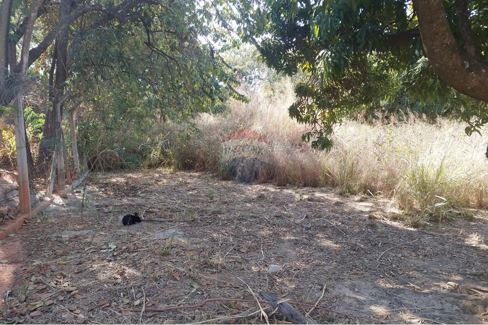 Terreno - Venda - Contagem , Minas Gerais - 20250909_145558.jpg - 870241162-7
