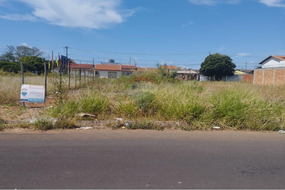 Terreno - Venda - Araguari , Minas Gerais - WhatsApp Image 2025-04-08 at 17.11.00.jpeg - 870441003-42