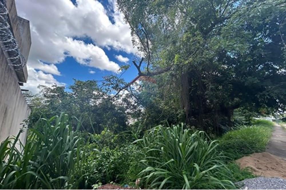 Terreno - Venda - Varginha , Minas Gerais - L_1cef12da-971f-4e9f-8bfc-22ceeadbcfc2.jpg - 870641024-11