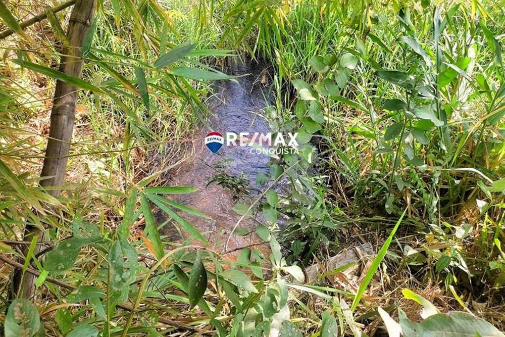 Chácara / Sítio / Fazenda - Venda - Ipanema , Minas Gerais - 4_IMG_20240515_091052_watermark_dom._23062024_100802.jpg - 870451001-122