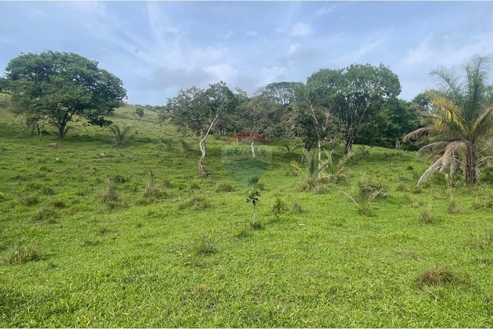 Chácara / Sítio / Fazenda - Venda - Araxá , Minas Gerais - IMG-20241202-WA0016.jpg - 870431045-24