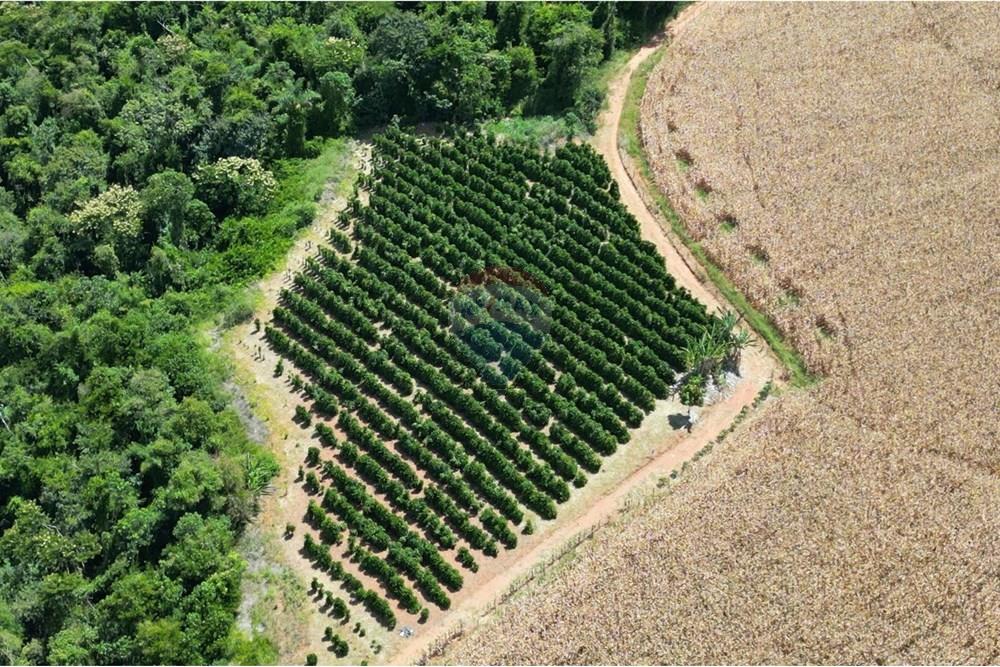 Chácara / Sítio / Fazenda - Venda - Botelhos , Minas Gerais - WhatsApp Image 2025-07-09 at 15.43.46 (3).jpeg - 870361041-116