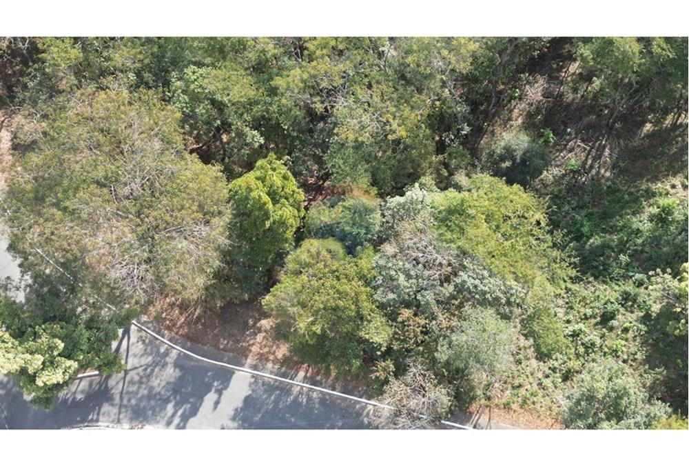 Terreno - Venda - Nova Lima , Minas Gerais - dji_fly_20250819_143444_680_1755688856680_photo.JPG - 870351059-18