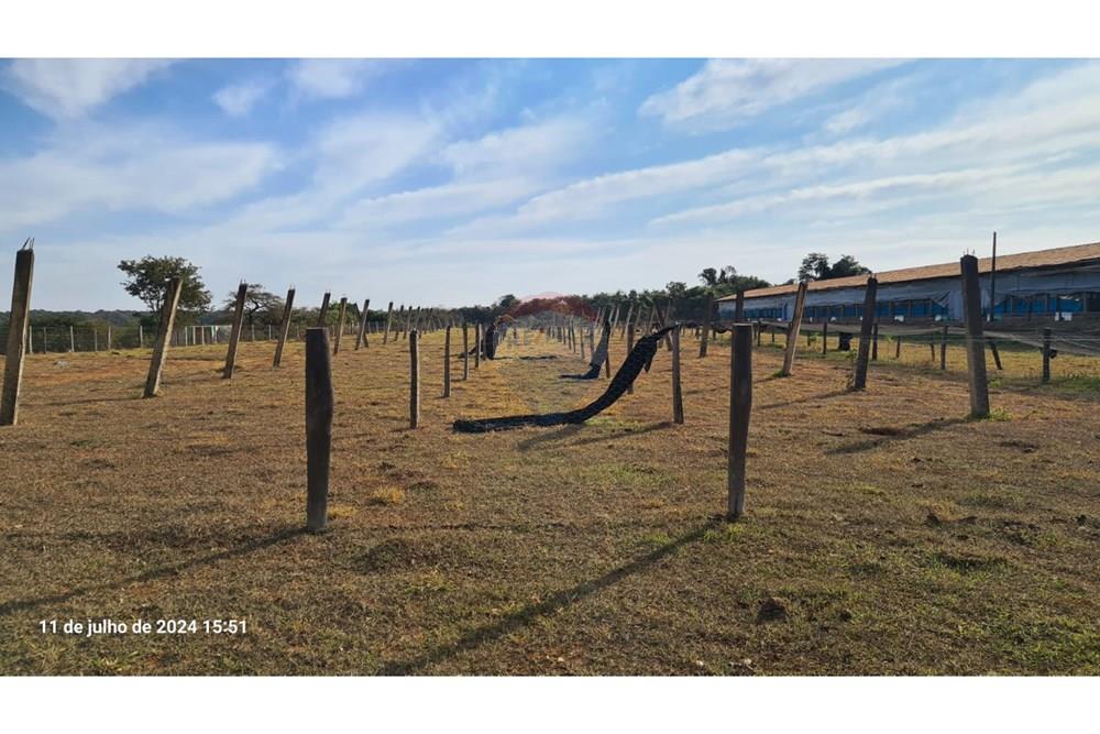 Fazenda - Venda - Uberaba , Minas Gerais - (23).jpeg - 870291025-116