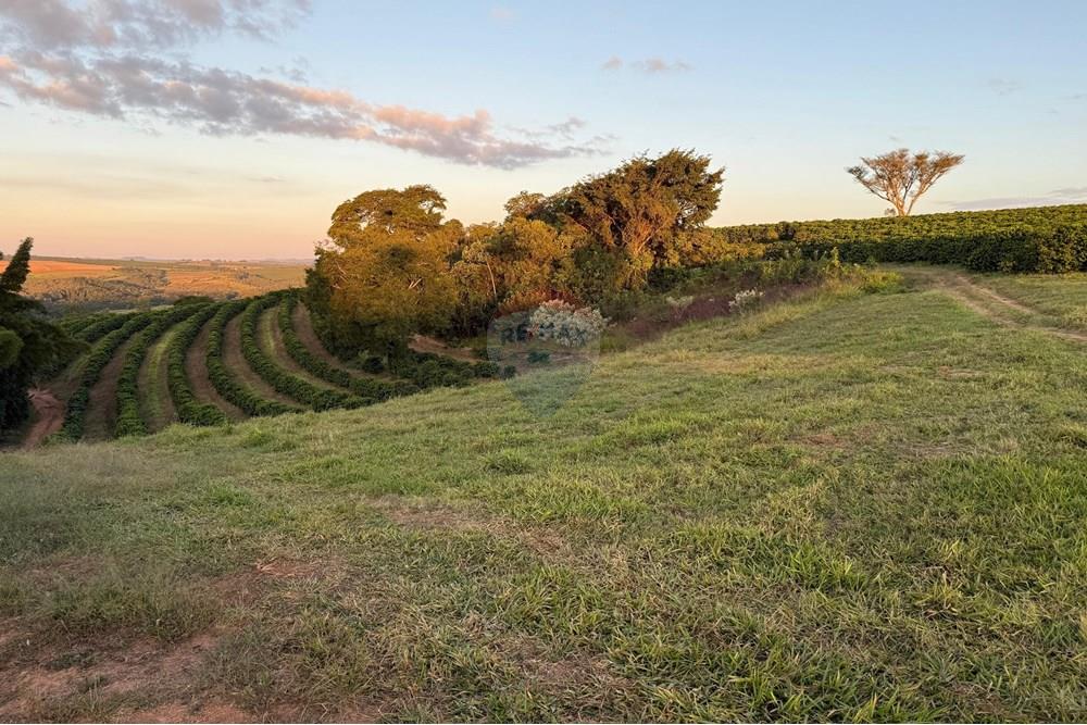 Fazenda - Venda - Ibiá , Minas Gerais - WhatsApp Image 2025-07-07 at 16.23.48 (4).jpeg - 870431012-52