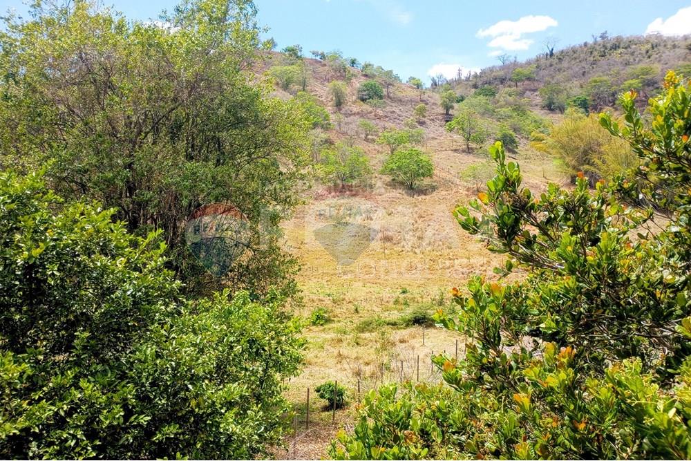 Chácara / Sítio / Fazenda - Venda - Ipanema , Minas Gerais - 8_image_8_watermark_qua._29102025_112046.jpg - 870451004-107