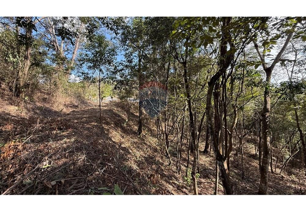 Terreno - Venda - Nova Lima , Minas Gerais - IMG_1423.jpg - 870351059-18