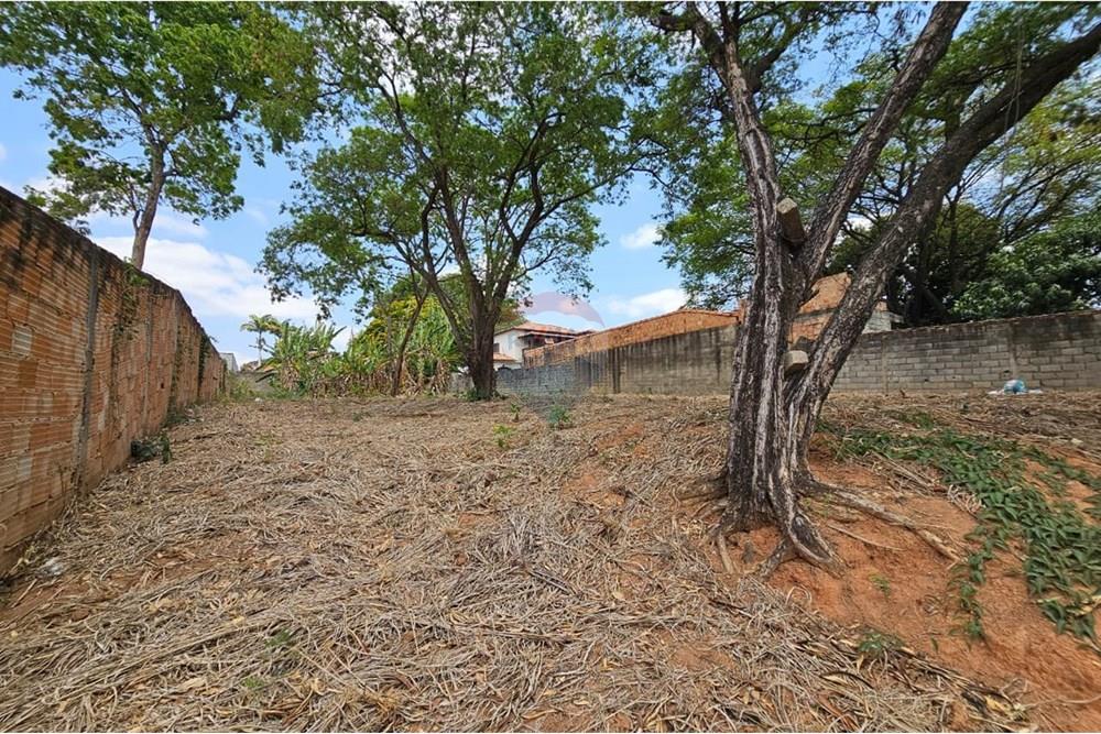 Terreno - Venda - Contagem , Minas Gerais - WhatsApp Image 2025-10-22 at 15.35.08.jpeg - 870411099-49