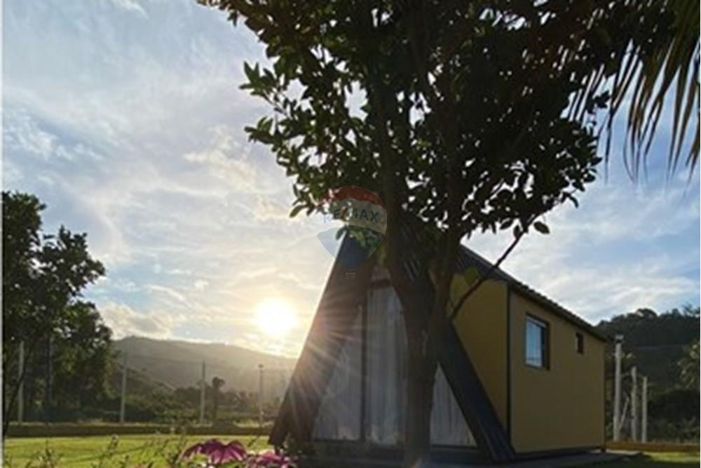 Chácara / Sítio / Fazenda - Venda - Timóteo , Minas Gerais - IMG_2624.JPEG - 870711027-23