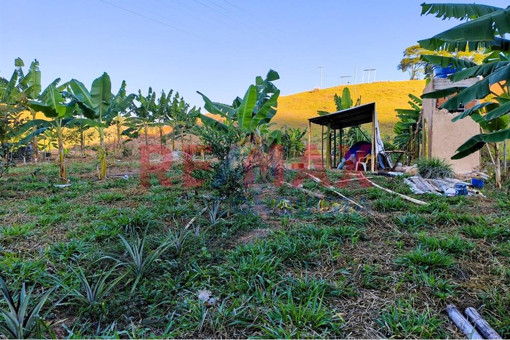 Chácara / Sítio / Fazenda - Venda - Conceição de Ipanema , Minas Gerais - 0_image_0_watermark_seg._01092025_205221.jpg - 870451001-144