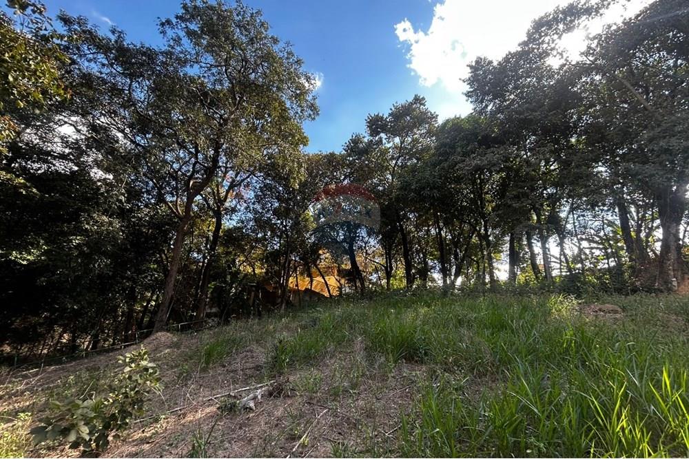 Chácara / Sítio / Fazenda - Venda - Sarzedo , Minas Gerais - lote130011.jpg - 870351054-22