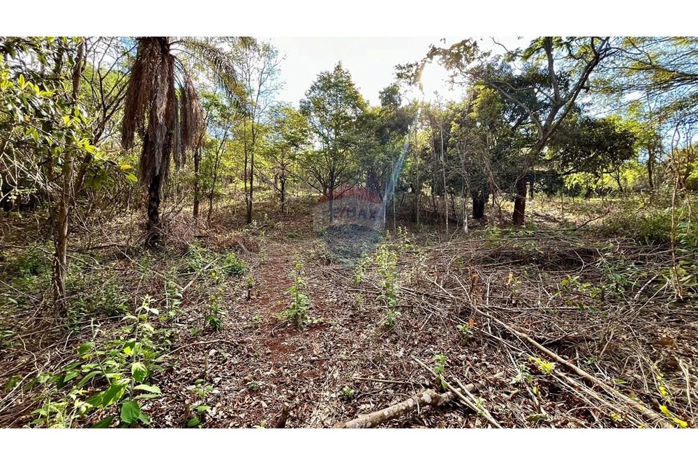 Terreno - Venda - Nova Lima , Minas Gerais - WhatsApp Image 2025-10-23 at 11.25.22.jpeg - 870351032-22