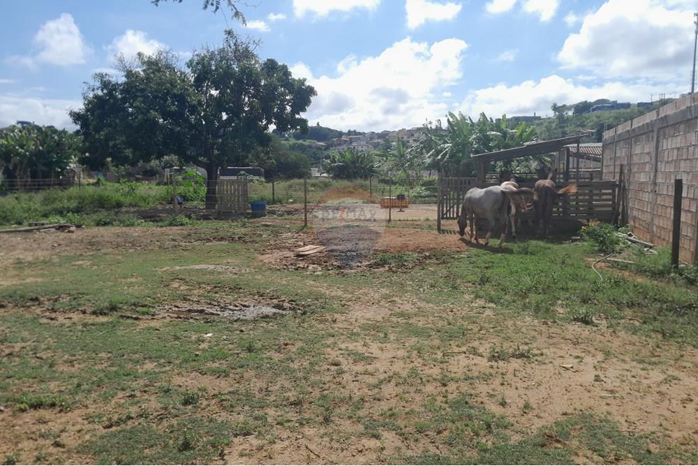 Terreno - Venda - Araxá , Minas Gerais - 20250430_104513.jpg - 870431006-44