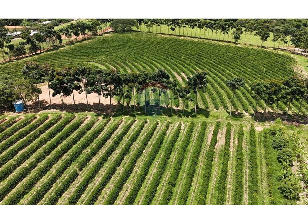 Chácara / Sítio / Fazenda - Venda - Araxá , Minas Gerais - FAZENDA 5.jpeg - 870431058-4