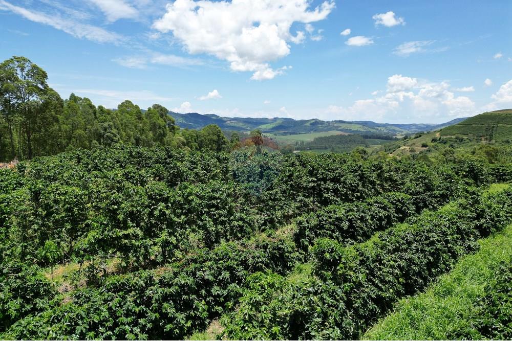 Chácara / Sítio / Fazenda - Venda - São Sebastião da Grama , São Paulo - DJI_0746.JPG - 870361041-98