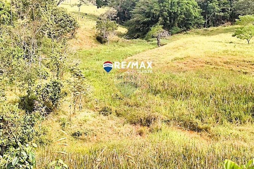 Chácara / Sítio / Fazenda - Venda - Ipanema , Minas Gerais - 5_IMG_20240515_093253_watermark_dom._23062024_100707.jpg - 870451001-122