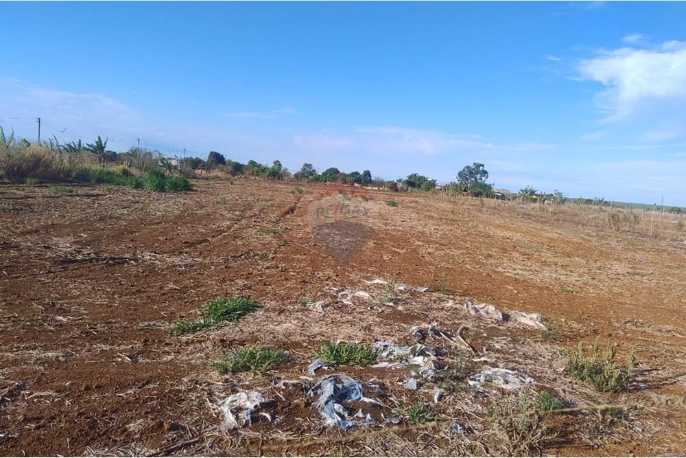 Chácara / Sítio / Fazenda - Venda - Uberaba , Minas Gerais - N5.jpeg - 870291037-15