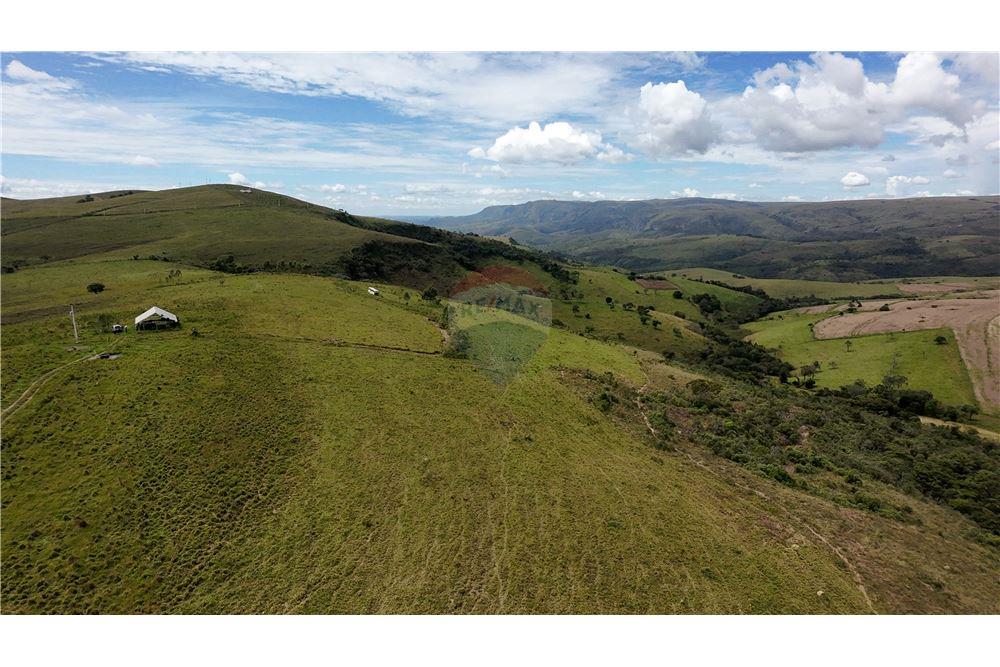 Fazenda - Venda - São Roque de Minas , Minas Gerais - 8 - 870431039-46