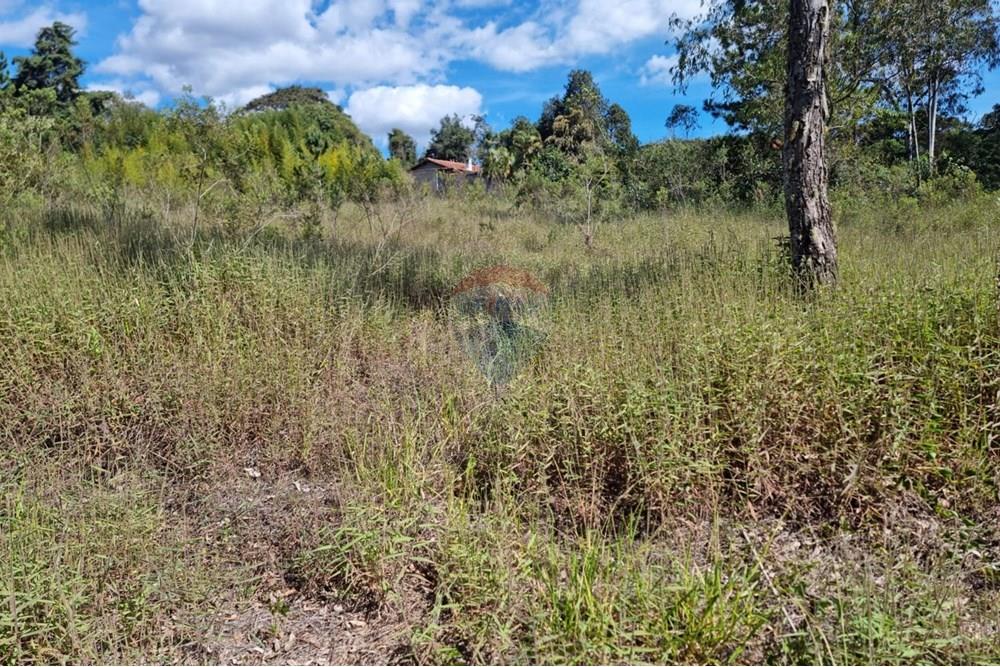 Terreno - Venda - Nova Lima , Minas Gerais - 5.jpeg - 870421084-16