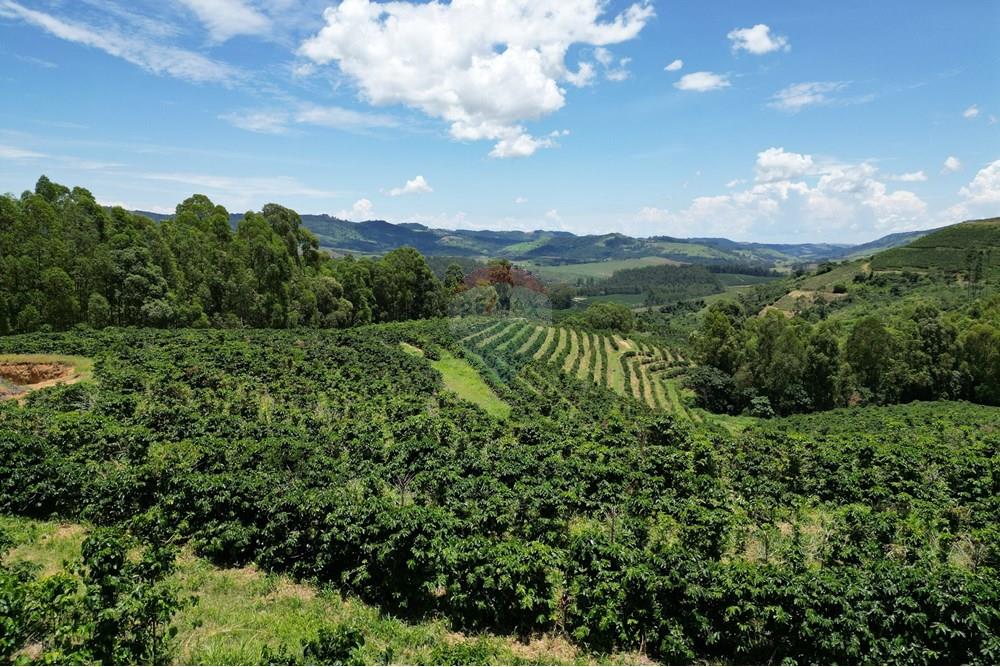 Chácara / Sítio / Fazenda - Venda - São Sebastião da Grama , São Paulo - DJI_0744.JPG - 870361041-98